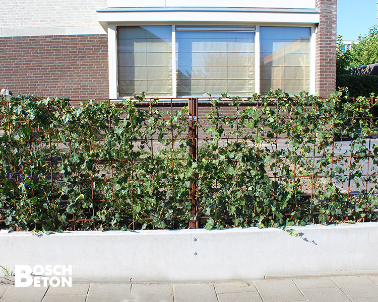 Bosch Beton - Hoogteverschil opvangen met keerwanden tussen tuin en stoep in Willemstad